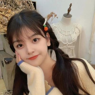 慈善星辉布公仔 热播封面
