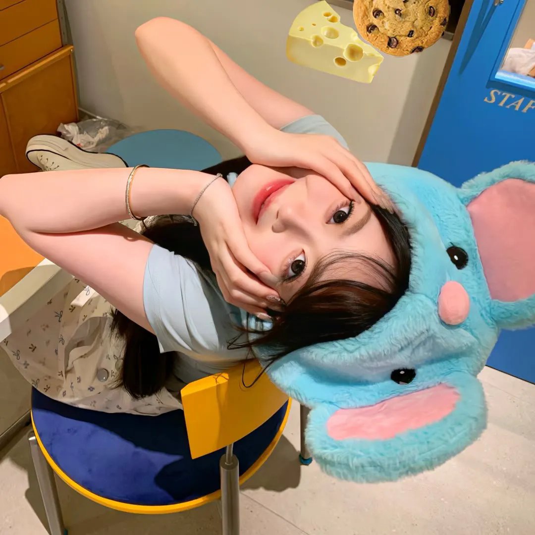 乐在旅途第三季 热播封面